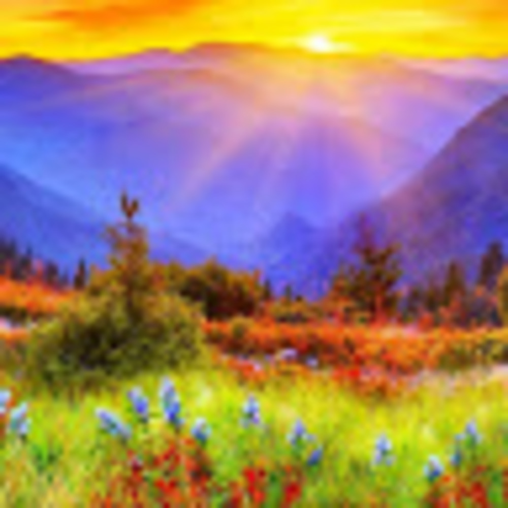 Meet your Posher, Mindy